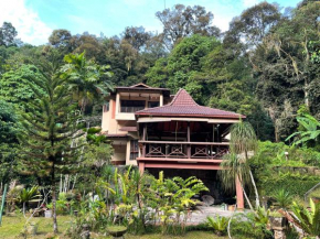 Purimai Jungle House in the heart of Kuala Lumpur